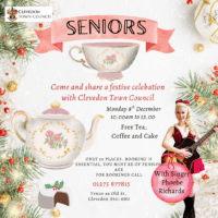 Come and share a festive celebration with Clevedon Town Council